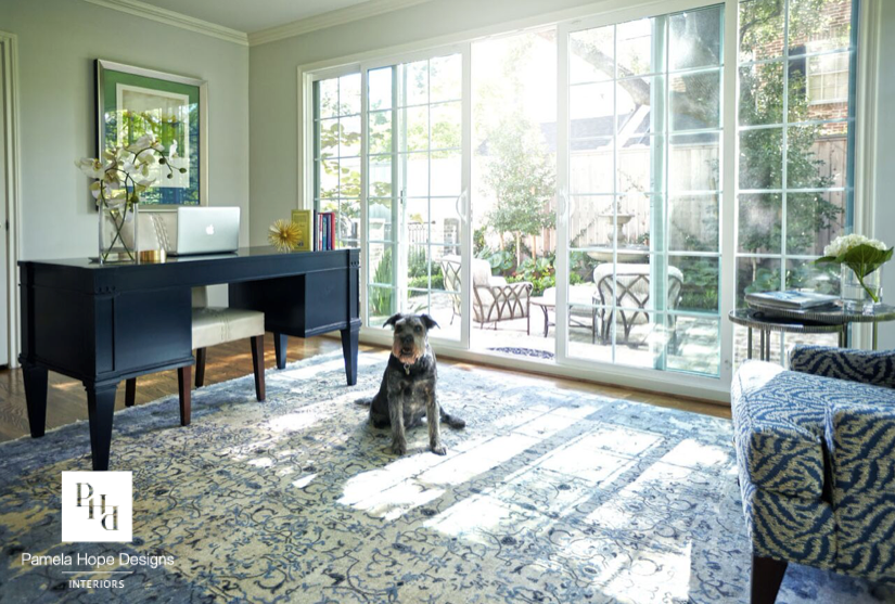 Designing a Pet-Friendly Home