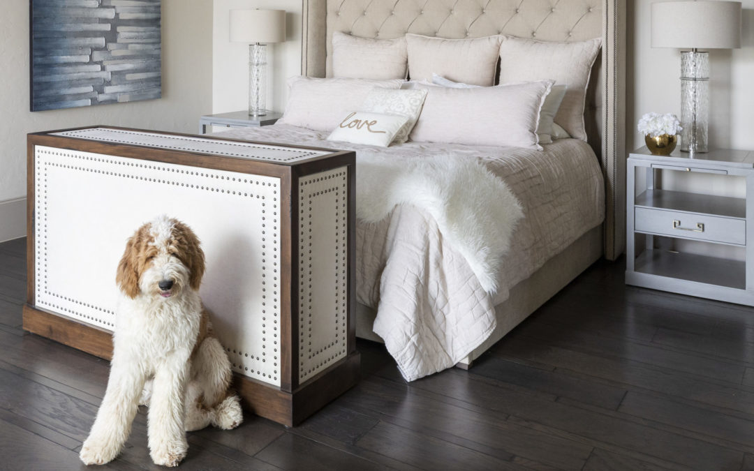 Designer Elements for Homes with Pets