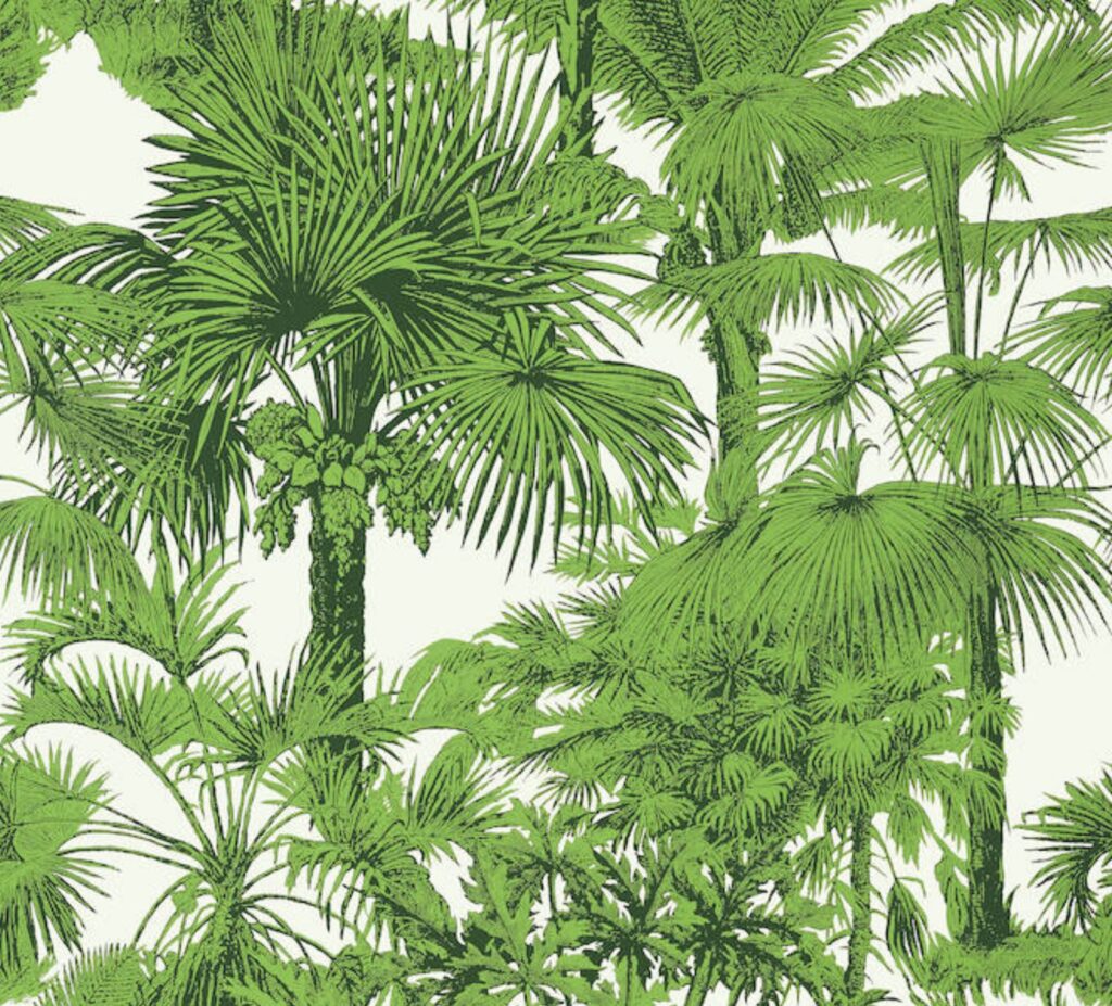 palm wallpaper for nature inspired design