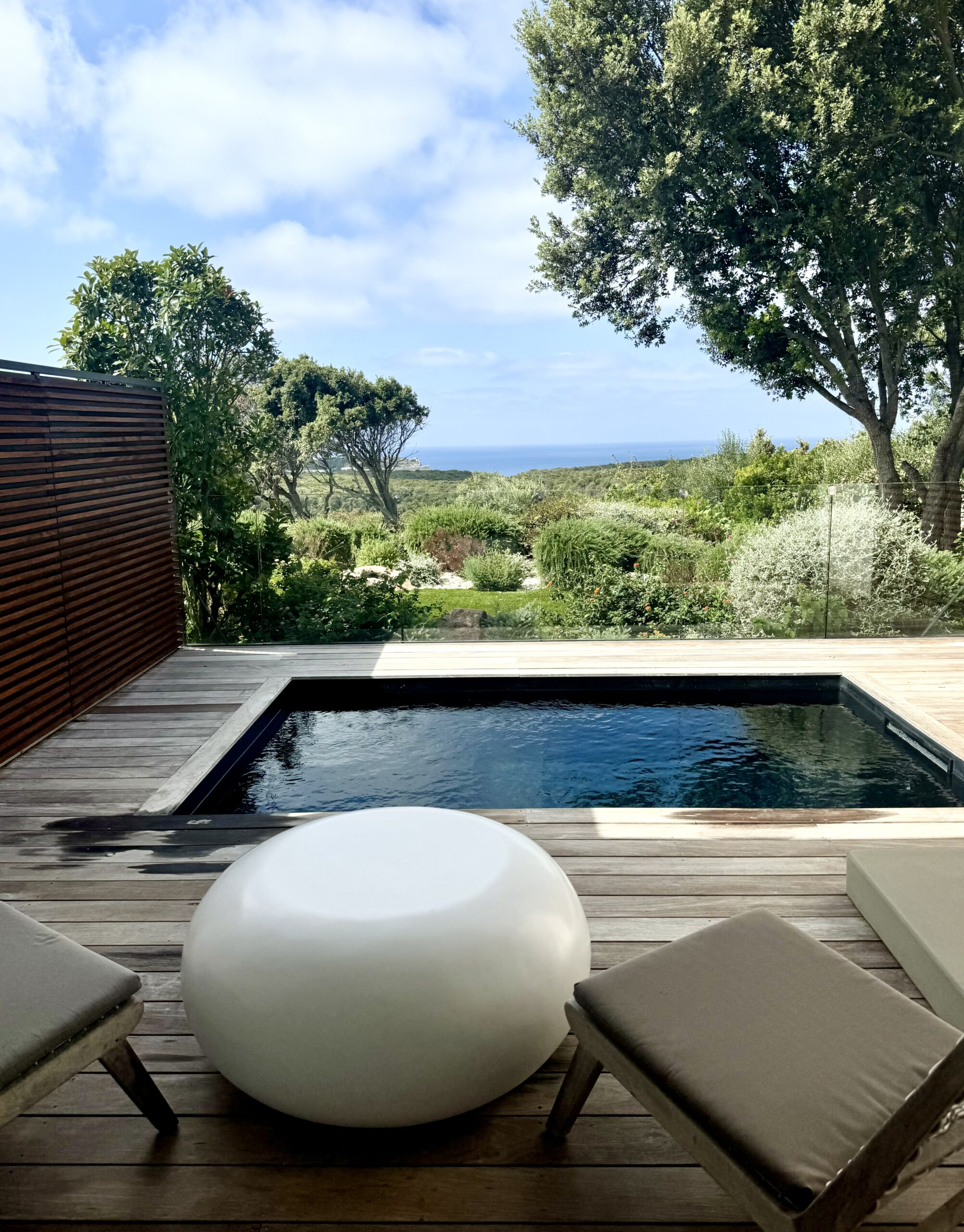 Our private pool at Cala di Greco