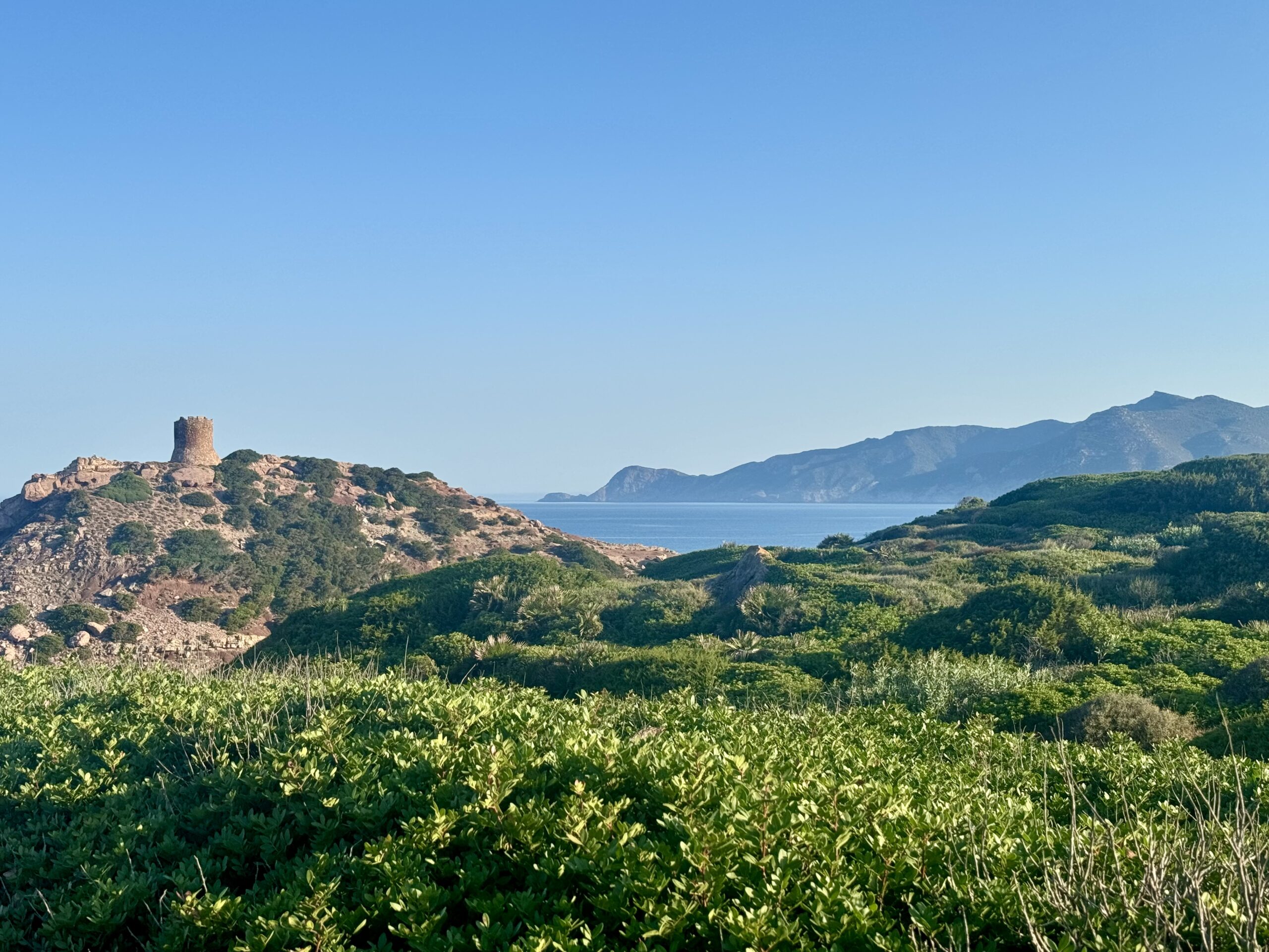 The macchia and the Porticciolo Beach