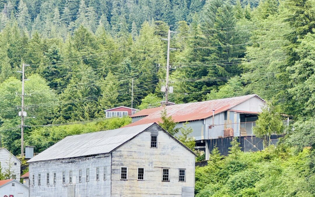 Our Alaska Cabin Updates and Design Inspiration